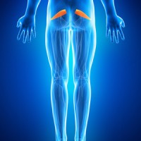 Piriformis Syndrome and Sciatic Back Pain